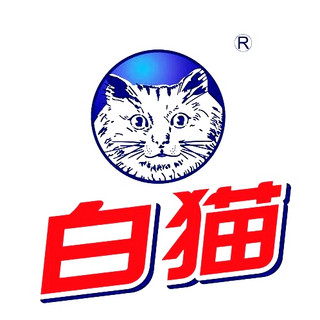 white cat/白猫